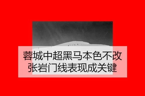 rong-cheng-zhong-chao-hei-ma-ben-se-bu-gai-zhang-yan-men-xian-biao-xian-cheng-guan-jian-2-329.jpg